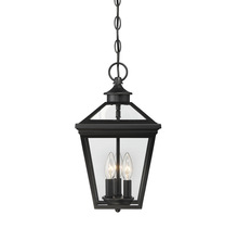 Outdoor Foyer/Hall Lanterns