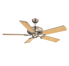 Ceiling Fans